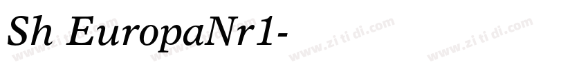 Sh EuropaNr1字体转换